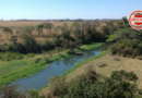 Governo de Goiás propõe fundo ambiental com gestão privada e projeto gera debate na Alego