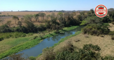 Governo de Goiás propõe fundo ambiental com gestão privada e projeto gera debate na Alego