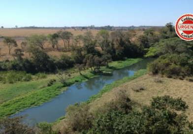 Governo de Goiás propõe fundo ambiental com gestão privada e projeto gera debate na Alego