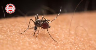 Goiás registra aumento de 14% nos casos de dengue e já contabiliza 75 mortes em 2026