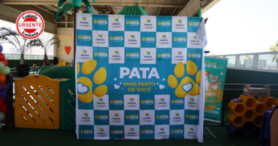 Aparecida chega a 250 animais adotados em um ano de projeto