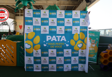 Aparecida chega a 250 animais adotados em um ano de projeto
