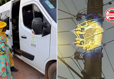 Enxame de abelhas ataca cerca de 40 pessoas e mobiliza resgate, em Piracanjuba