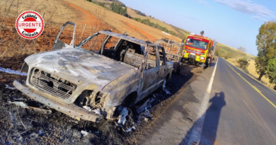 Bombeiros combatem incêndios em veículos e vegetação em Pontalina e Caldas Novas