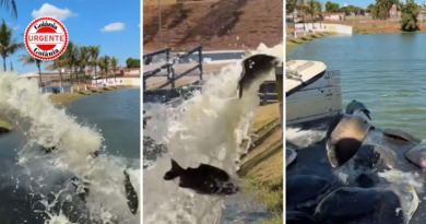 Goianira coloca 2,5 toneladas de peixes em lago para pesca livre no Dia dos Pais