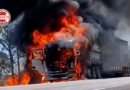 Motorista retira 64 bois antes de carreta ser destruída por incêndio na GO-118