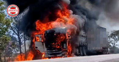 Motorista retira 64 bois antes de carreta ser destruída por incêndio na GO-118