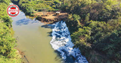 Espuma branca aparece no Rio Meia Ponte e mobiliza investigação ambiental, em Goiânia