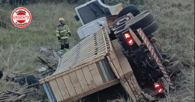 Motorista morre após caminhão com gado tombar na GO-050, em Jataí