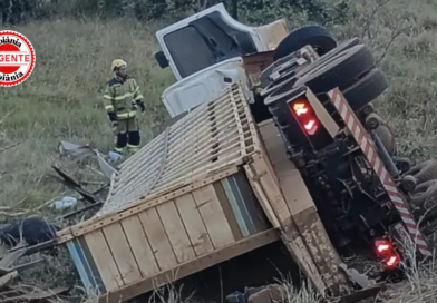 Motorista morre após caminhão com gado tombar na GO-050, em Jataí