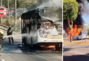 Ônibus pega fogo e incêndio se espalha para área de pasto, em Goiânia