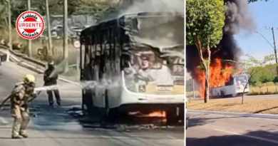 Ônibus pega fogo e incêndio se espalha para área de pasto, em Goiânia