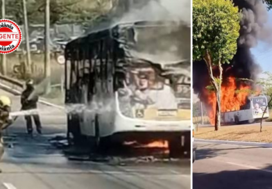 Ônibus pega fogo e incêndio se espalha para área de pasto, em Goiânia