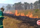 Goiás cria gabinete para combater incêndios e enfrentar estiagem