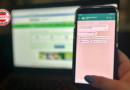 Goiás lança atendimento por WhatsApp com IA para renovar CNH e emitir identidade