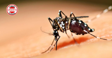 Chikungunya avança em Goiás e já provoca quatro mortes em 2026