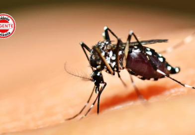 Chikungunya avança em Goiás e já provoca quatro mortes em 2026