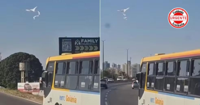 Pipa fica presa a ônibus e circula pelas ruas de Goiânia