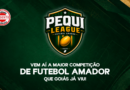 FGF lança Pequi League, novo campeonato estadual que reunirá até 128 equipes de futebol amador