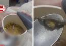 Mulher encontra lagartixa em Cup Noodles e Justiça de Goiás determina indenização de R$ 3 mil