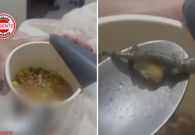 Mulher encontra lagartixa em Cup Noodles e Justiça de Goiás determina indenização de R$ 3 mil