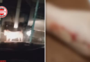Família passa a noite dentro de carro após ataque de pit bull, em Mineiros
