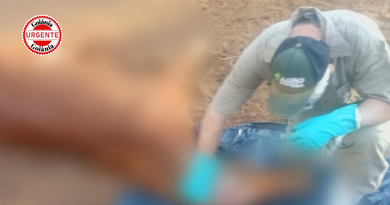 Raiva é confirmada em cavalo e sete mortes são investigadas, em Santa Helena de Goiás