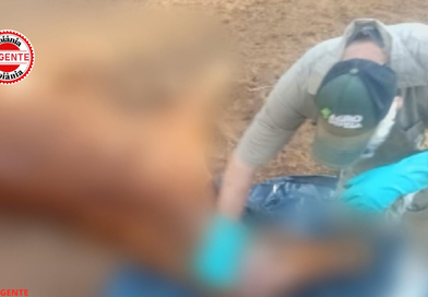 Raiva é confirmada em cavalo e sete mortes são investigadas, em Santa Helena de Goiás