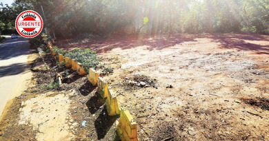 Goiânia vai recuperar área atingida por dano ambiental após obra
